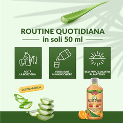 Aloe Vera Immuno C con Rosa Canina e Acerola
